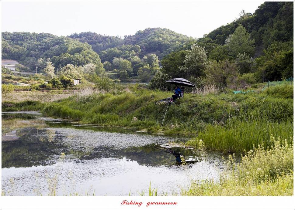 목벌 43 cm37 cm소류지 4 짜솔 낚시터 월척화곡지 대물 조황 (조황조행기 - 특파원조황)