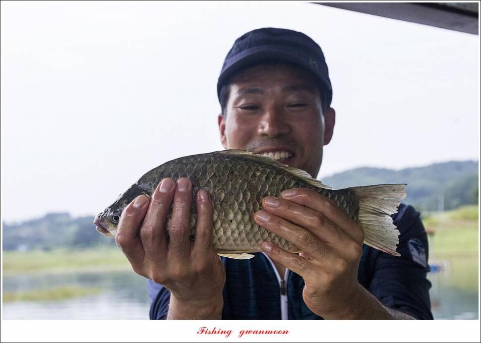 제일 4 짜 2 수돌감 4 짜목벌 4 짜 조황 (조황조행기 - 특파원조황)
