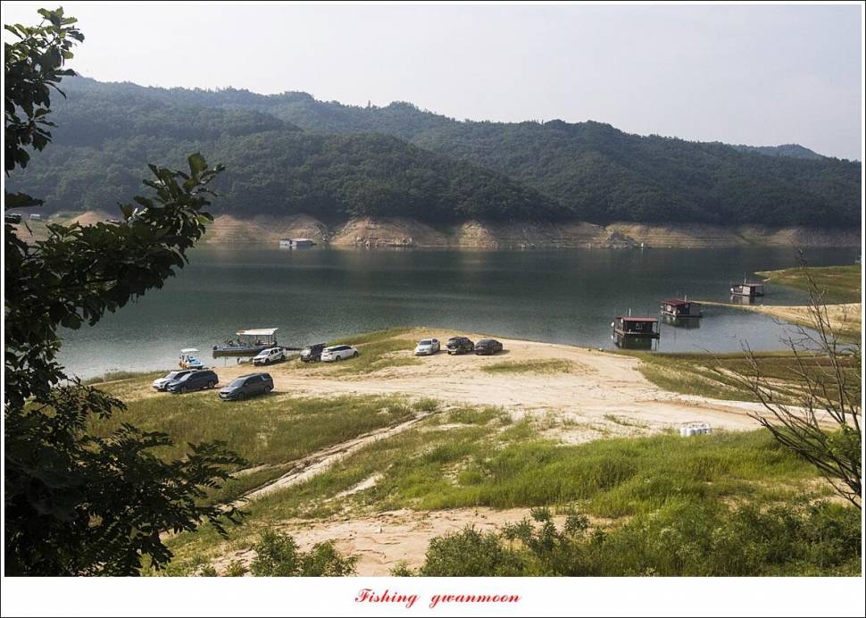 솔 4 짜 3 수화곡지 4 짜 마릿수 조황 (조황조행기 - 특파원조황)