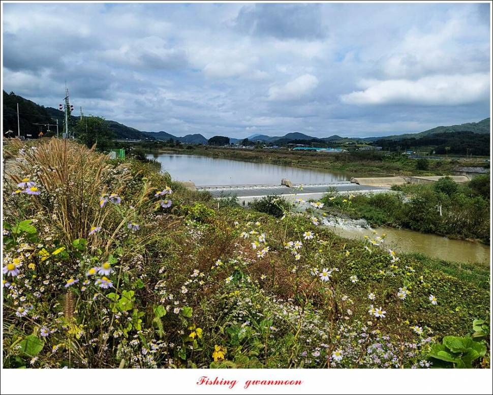 충주호 현황 및 화곡지 4 짜 조황 (조황조행기 - 특파원조황)