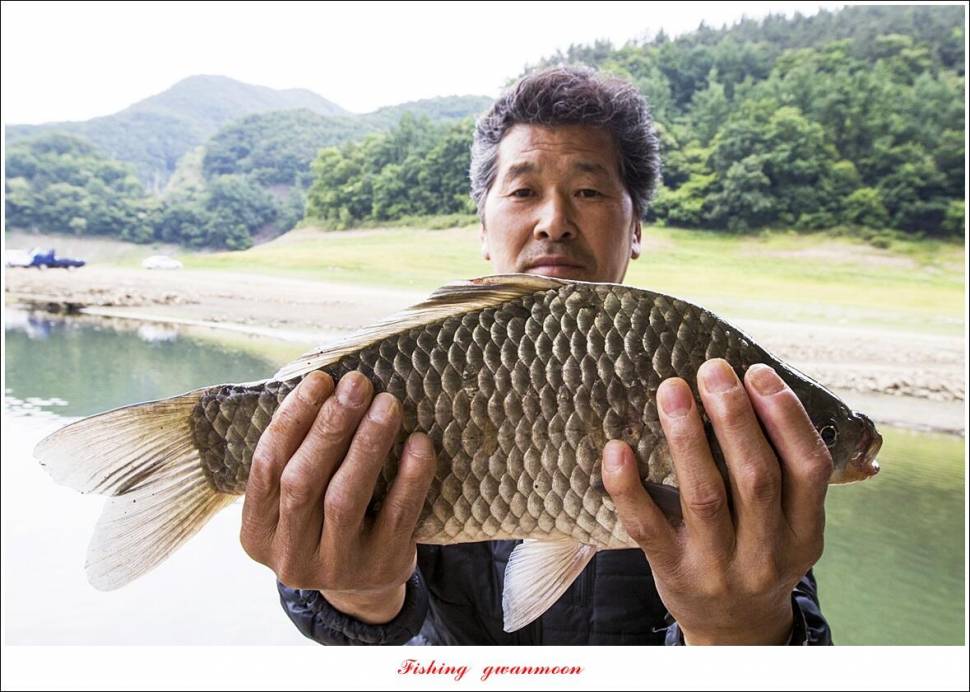 목벌 4 짜 행진 (조황조행기 - 특파원조황)