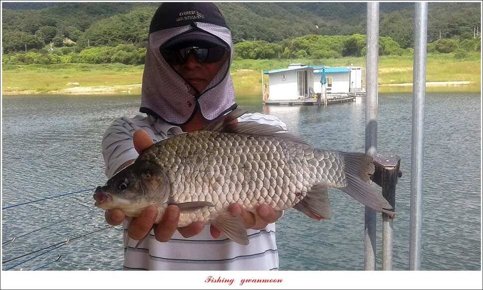 제일늘푸른종점 낚시터 조황 소식 (조황조행기 - 특파원조황)