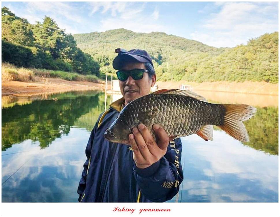 돌감 최대어 이벤트한버들 허리급 월척 조황 (조황조행기 - 특파원조황)