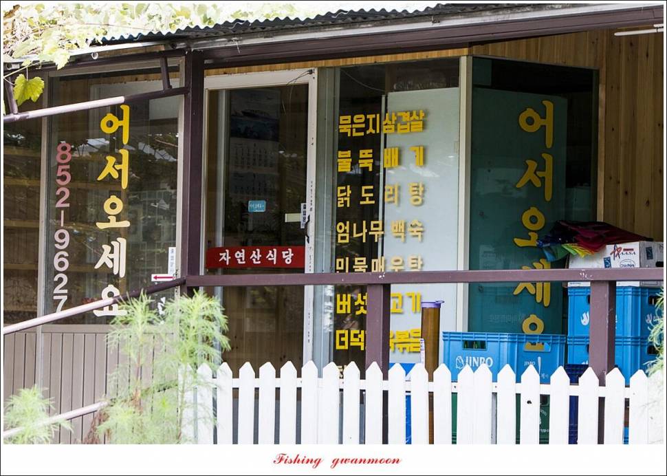 솔 낚시터 41 cm 종점 허리급 월척 조황 (조황조행기 - 특파원조황)