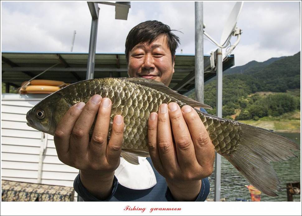 한버들 4 짜목벌 4 짜화곡지 4 짜달천강 4 짜 (조황조행기 - 특파원조황)