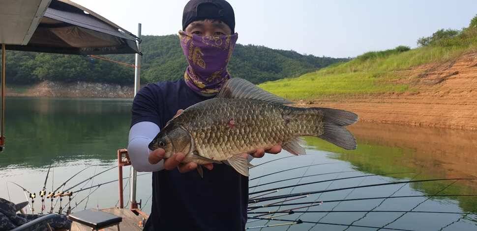 솔 42 43cm 대물붕어 목벌에도 4짜 꽃바위 키로급장어 허리급 붕어조황 (조황조행기 - 특파원조황)