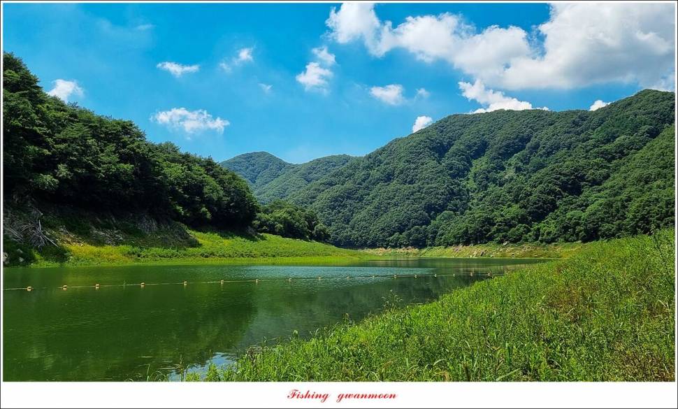명서 노지 4 짜 마릿수돌감 4 짜사오리 4 짜솔 4 짜 대물 조황 (조황조행기 - 특파원조황)