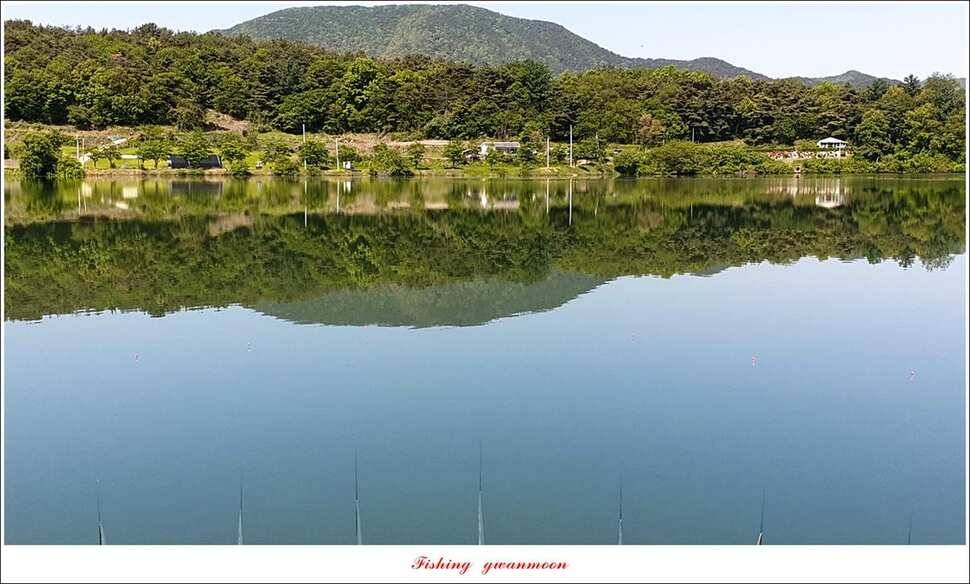 화곡지 사짜칠성지 사짜 대물 조황 (조황조행기 - 특파원조황)