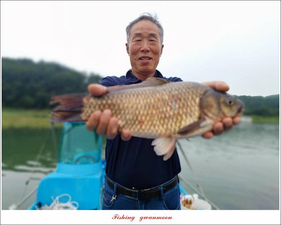 한버들 455 cm솔 415 cm제일 월척 조황 (조황조행기 - 특파원조황)