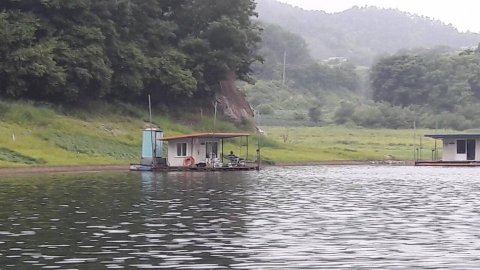 하천 낚시터 허리급 조황 소식입니다 (조황조행기 - 특파원조황)