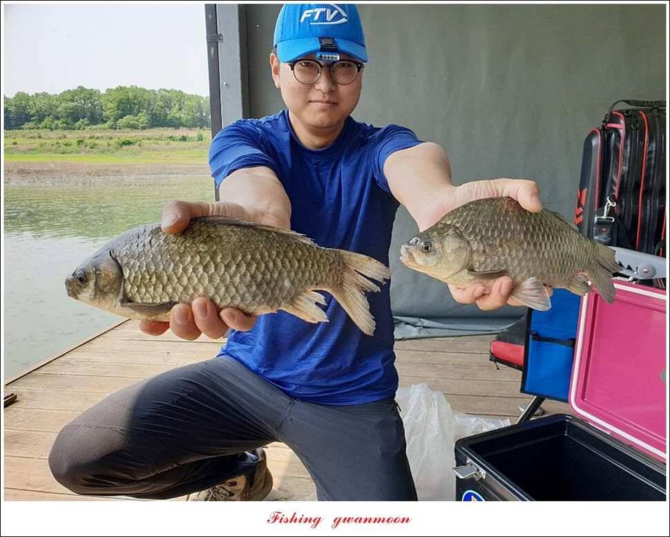제일 395 cm돌감 37 cm 및 월척 조황 (조황조행기 - 특파원조황)