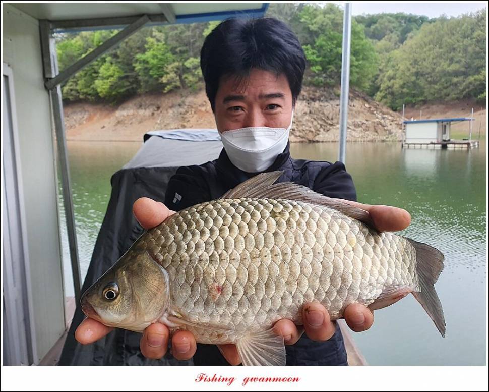 한버들 4 짜신리 4 짜실리곡 4 짜대물 조황 (조황조행기 - 특파원조황)