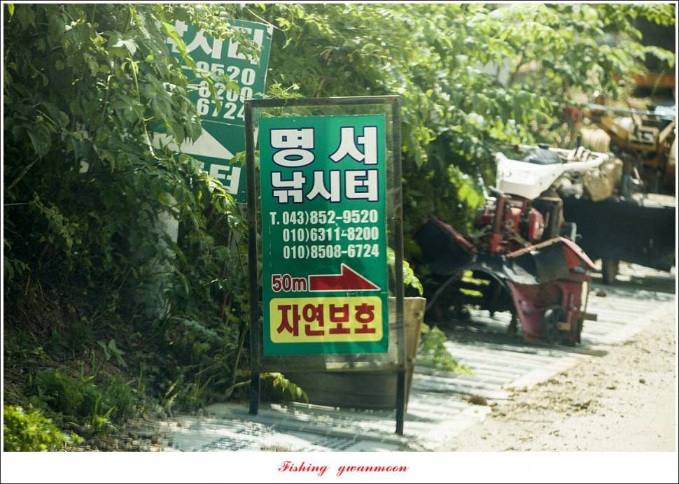 사오리 445 cm41 cm 대물 조황 (조황조행기 - 특파원조황)