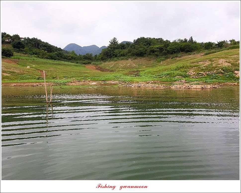 돌감신매 허리급 월척 조황 (조황조행기 - 특파원조황)