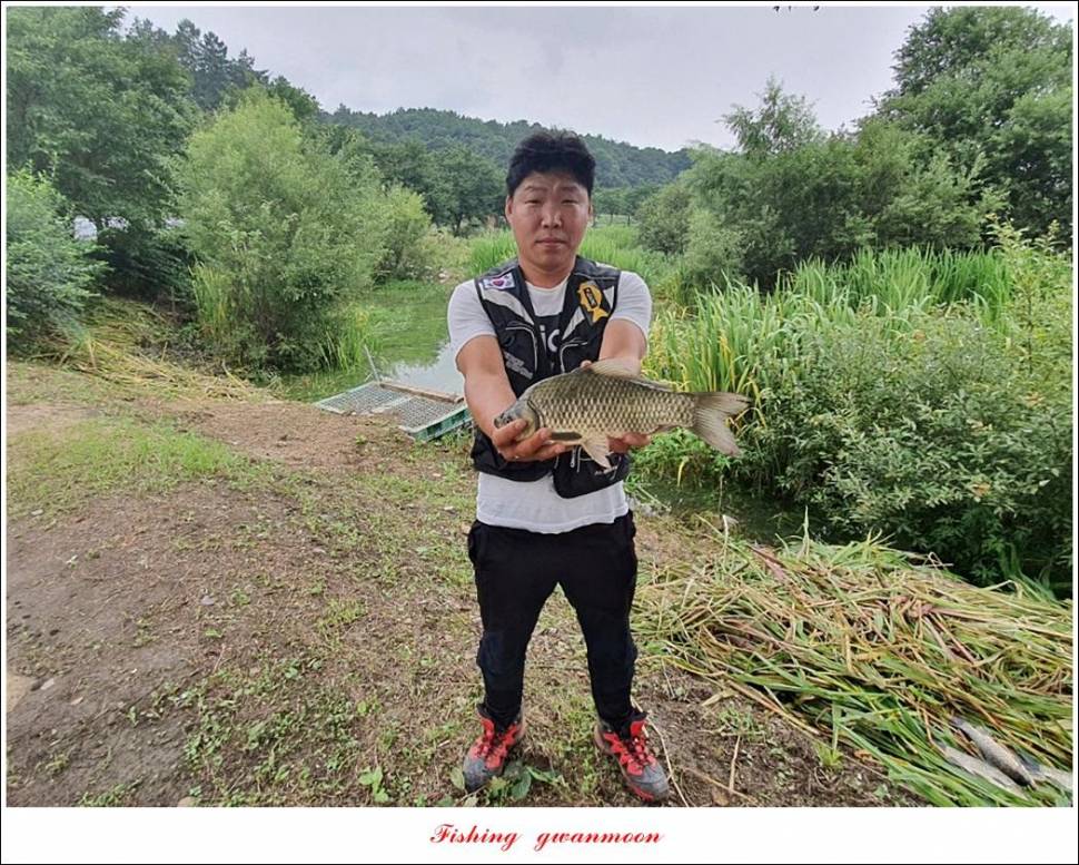 솔 낚시터 45 cm41 cm화곡지칠성지 조황 (조황조행기 - 특파원조황)