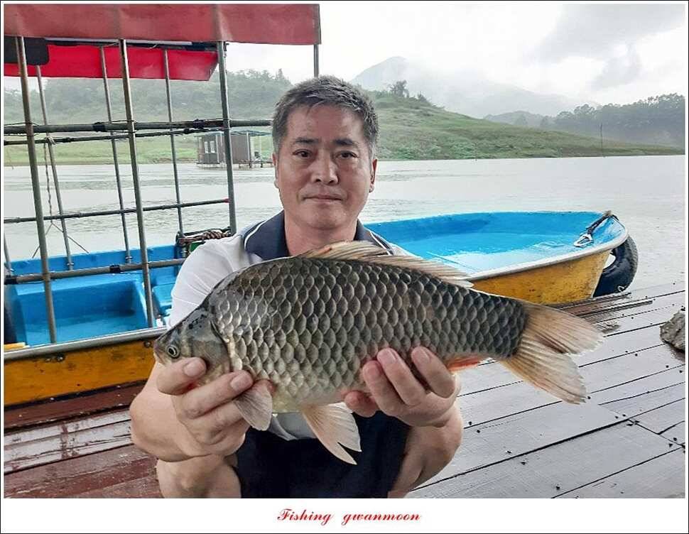 돌감 사짜38 cm38 cm마릿수 월척 조황 (조황조행기 - 특파원조황)
