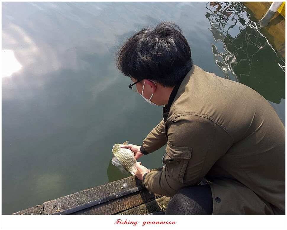 제일 마릿수 월척 및 돌감 허리급 월척솔낚시터 현황 (조황조행기 - 특파원조황)
