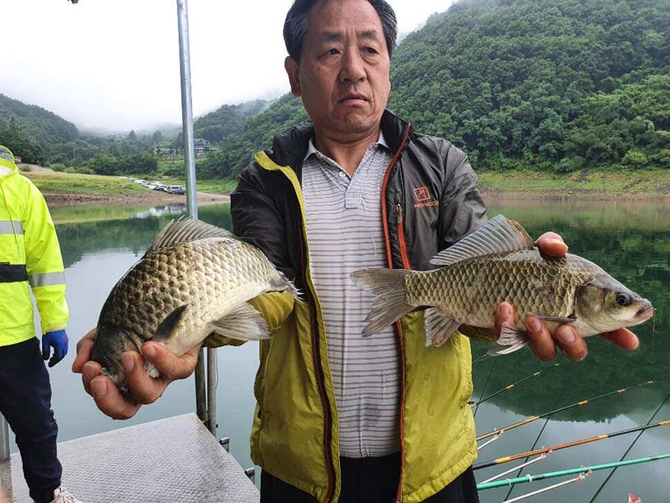 목벌 낚시터 42cm 대물붕어와 허리급붕어 조황 (조황조행기 - 특파원조황)