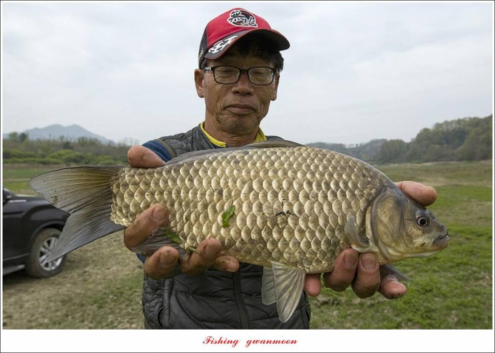 제일 4 짜 및 월척 조황 (조황조행기 - 특파원조황)