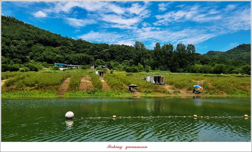 명서 노지 4 짜 마릿수돌감 4 짜사오리 4 짜솔 4 짜 대물 조황 (조황조행기 - 특파원조황)