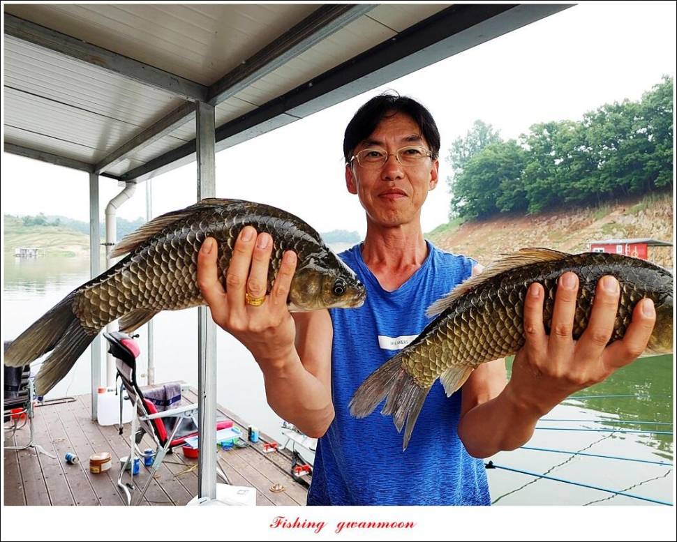 명서 노지 4 짜 마릿수돌감 4 짜사오리 4 짜솔 4 짜 대물 조황 (조황조행기 - 특파원조황)