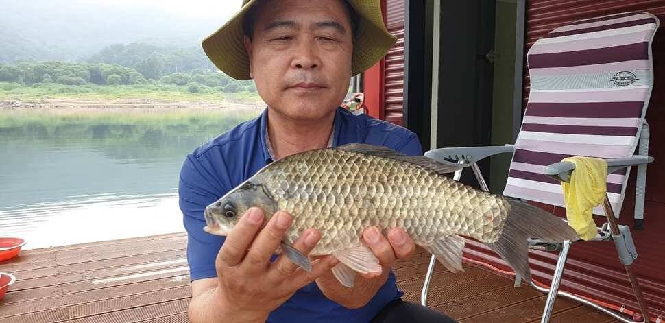 솔 42 43cm 대물붕어 목벌에도 4짜 꽃바위 키로급장어 허리급 붕어조황 (조황조행기 - 특파원조황)