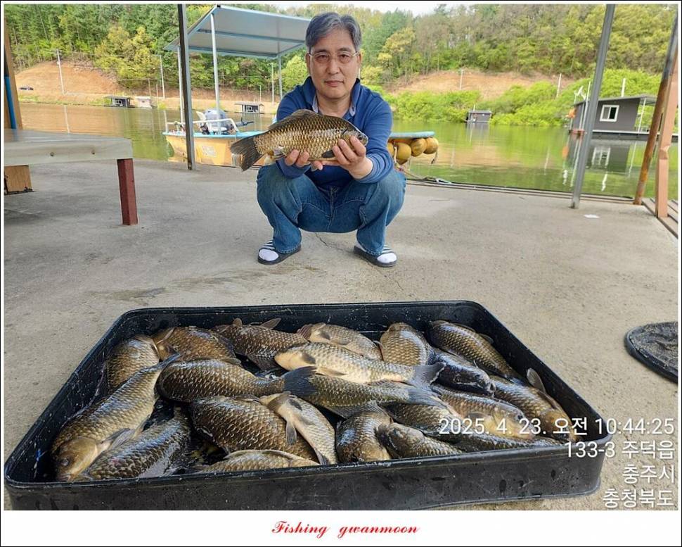 화곡지 498 cm49 cm49 cm465 cm용원지 호조황 (조황조행기 - 특파원조황)