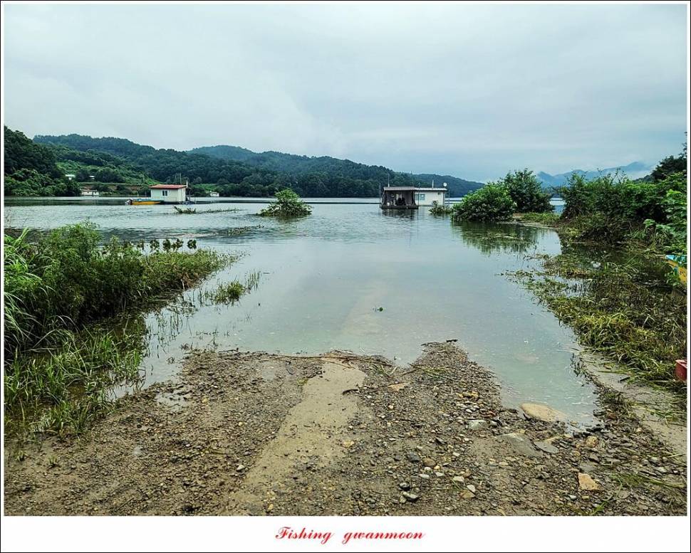 충주호 만수위 및 신리 4 짜 대물 조황 (조황조행기 - 특파원조황)