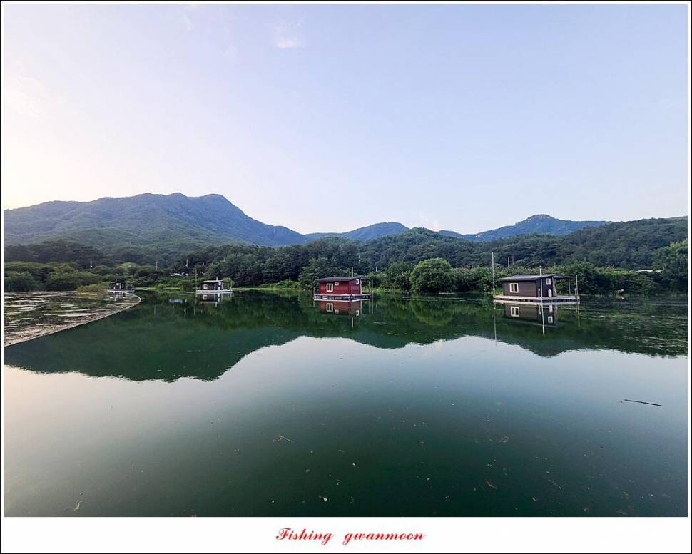 충주호 만수위 및 신리 4 짜 대물 조황 (조황조행기 - 특파원조황)