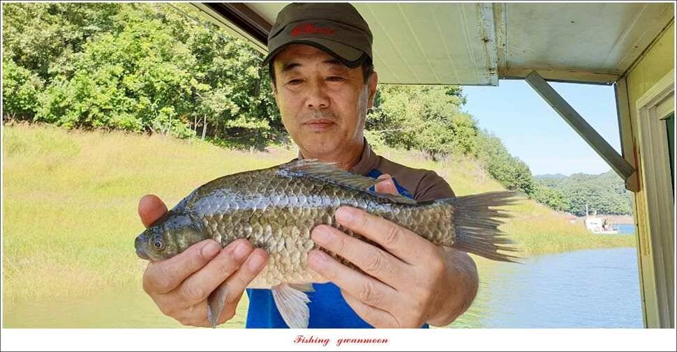제일늘푸른종점 낚시터 조황 소식 (조황조행기 - 특파원조황)