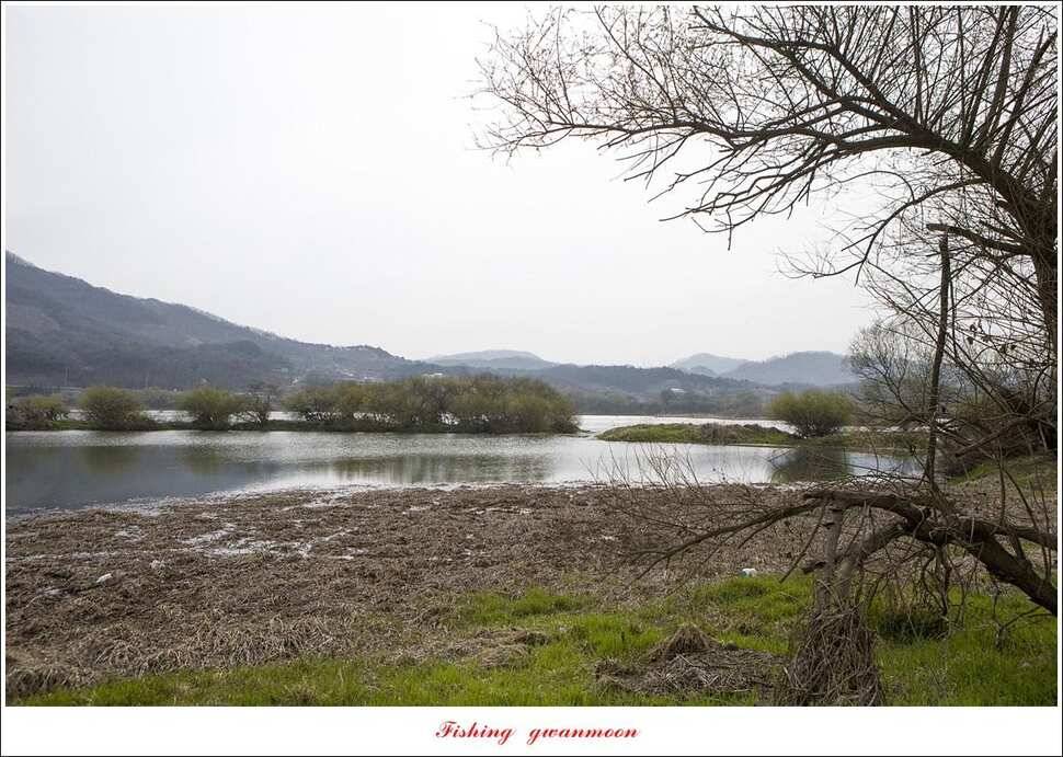 돌감 좌대추평지대제지 현황 (조황조행기 - 특파원조황)