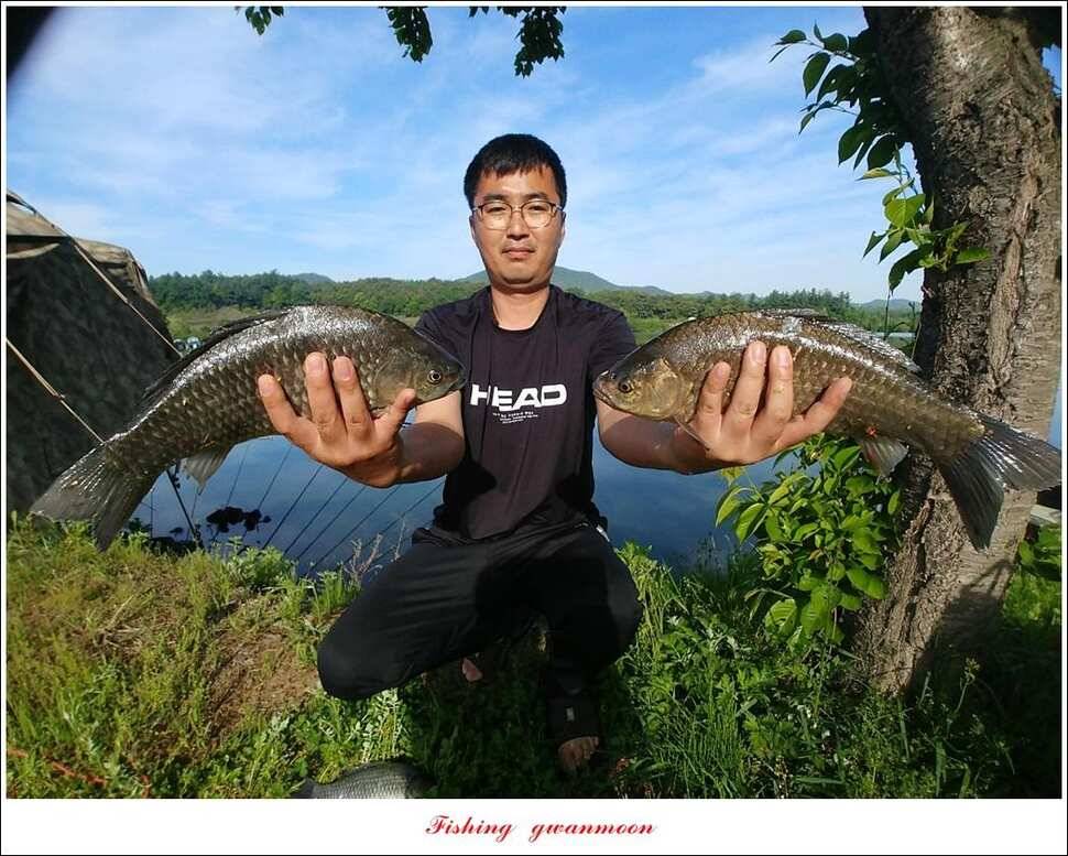 화곡지 사짜칠성지 사짜 대물 조황 (조황조행기 - 특파원조황)