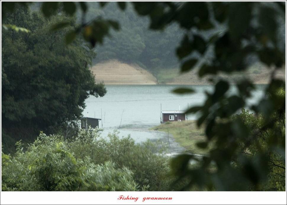 충주호 가을 오름수위 (조황조행기 - 특파원조황)