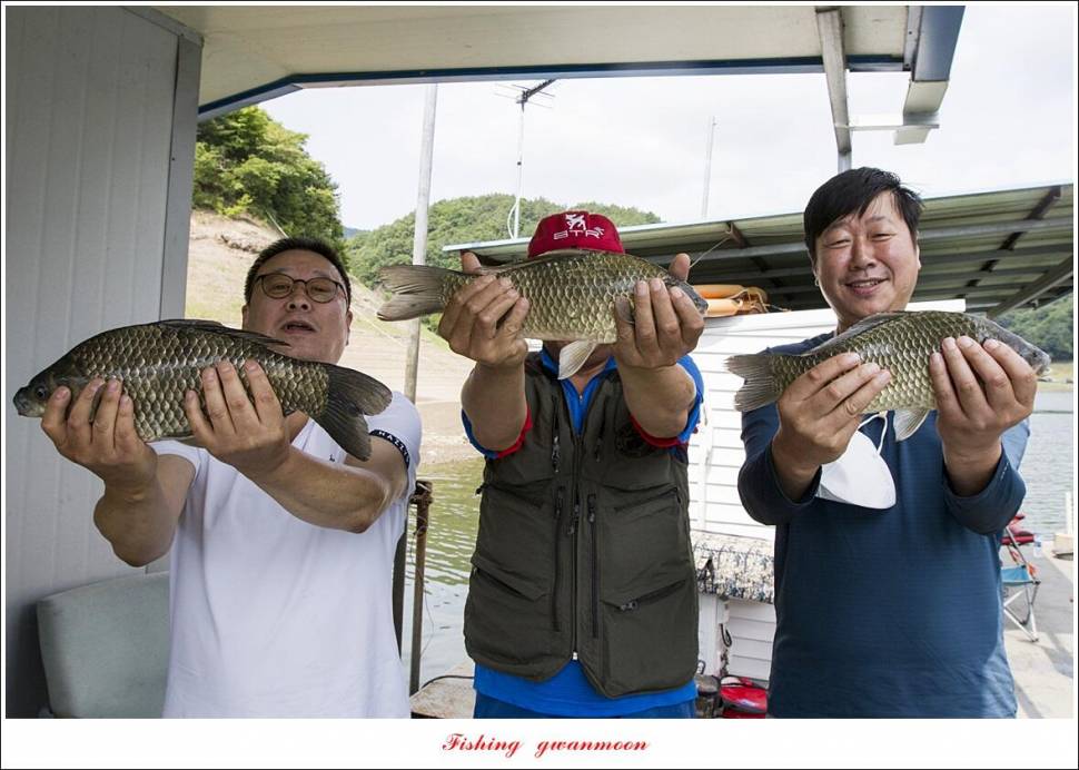 한버들 4 짜목벌 4 짜화곡지 4 짜달천강 4 짜 (조황조행기 - 특파원조황)