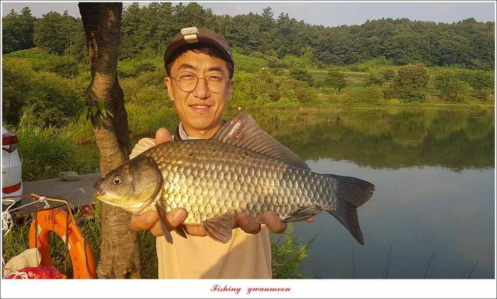 제일돌감칠성지 조황 (조황조행기 - 특파원조황)