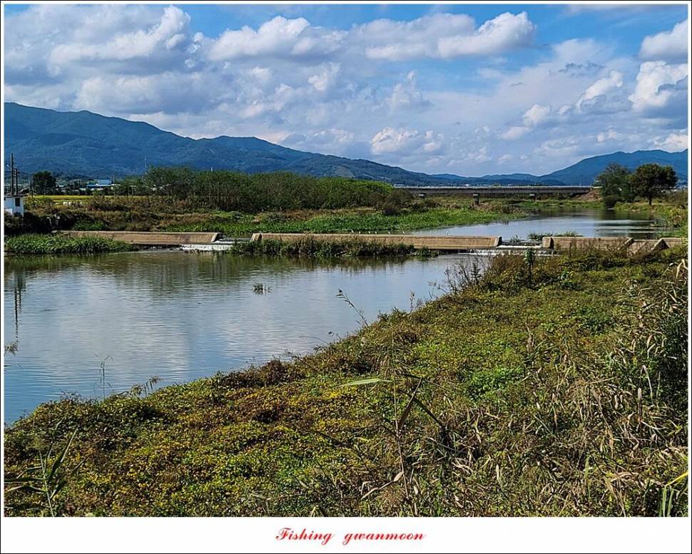 충주호 현황 및 화곡지 4 짜 조황 (조황조행기 - 특파원조황)