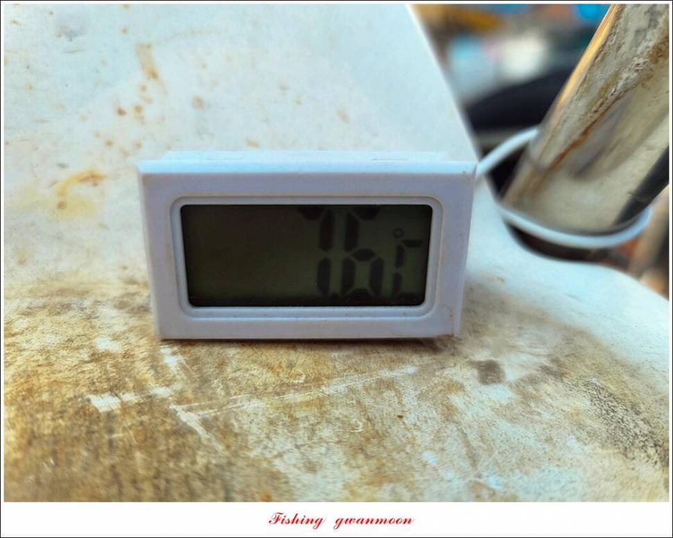솔 45 cm 대물 조황 (조황조행기 - 특파원조황)