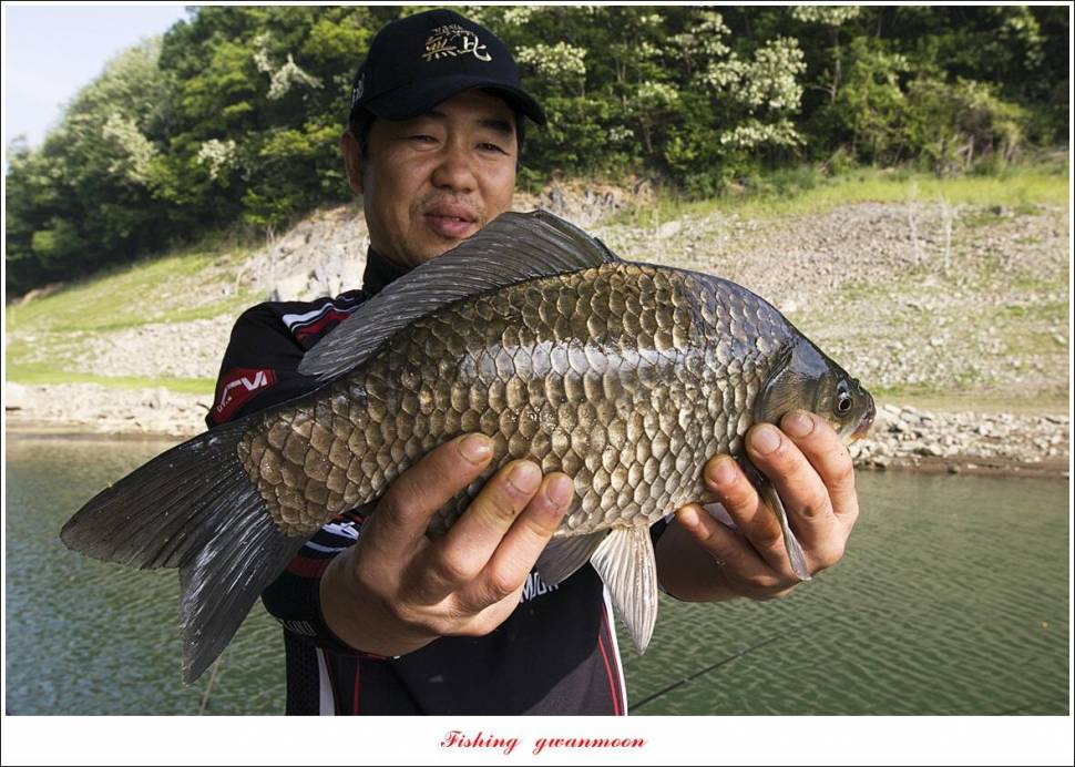 목벌 43 cm37 cm소류지 4 짜솔 낚시터 월척화곡지 대물 조황 (조황조행기 - 특파원조황)