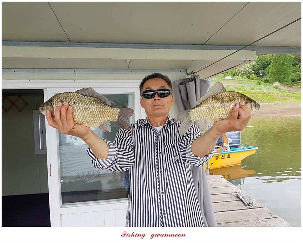 한버들 4 짜 2 수신리 4 짜실리곡 월척칠성지 4 짜 조황 (조황조행기 - 특파원조황)