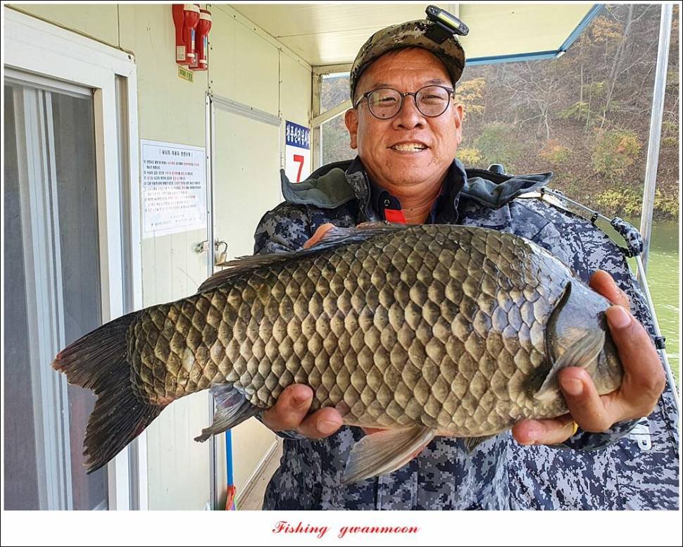 신리 47 cm한버들 415 cm실리곡 41 cm광월지 415 cm (조황조행기 - 특파원조황)