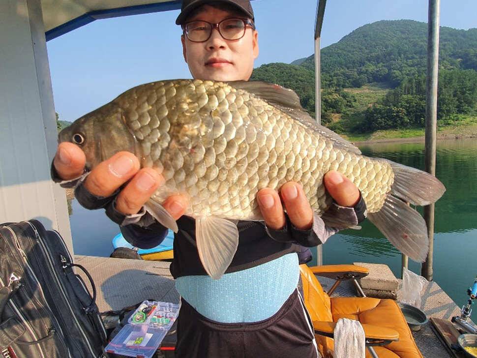 목벌 낚시터 꾸준한 4짜 대물붕어 조황소식 (조황조행기 - 특파원조황)