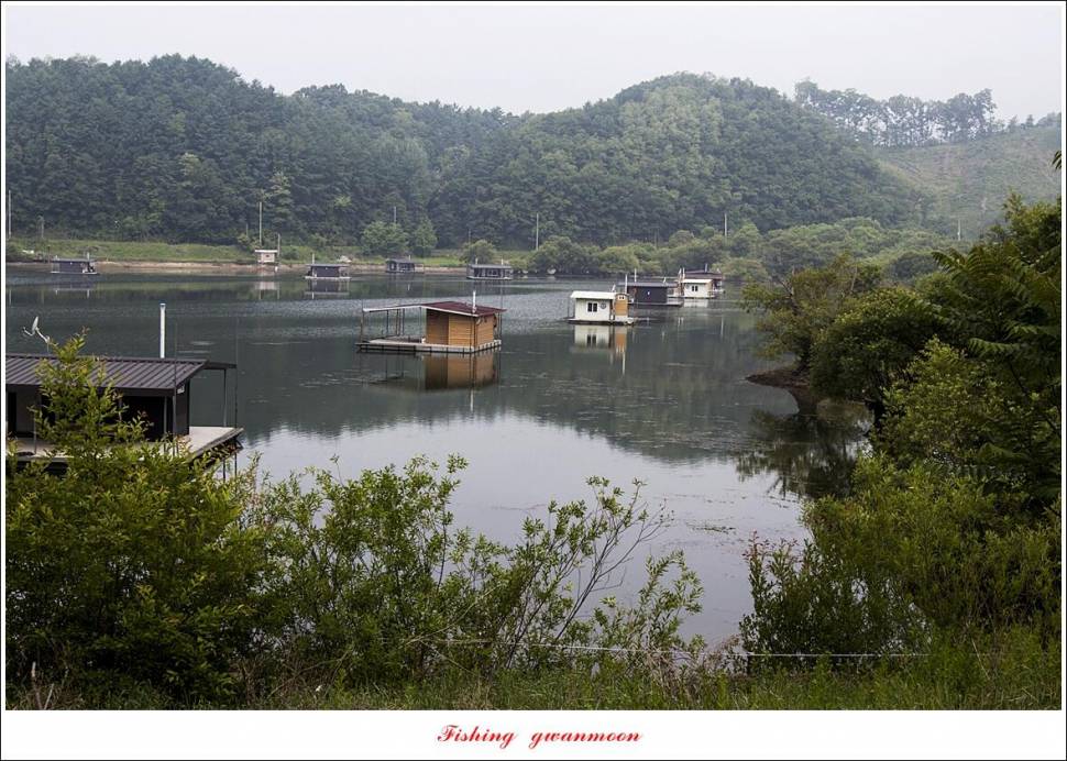 솔 낚시터 4 짜화곡지 4 짜 및 월척 조황 (조황조행기 - 특파원조황)