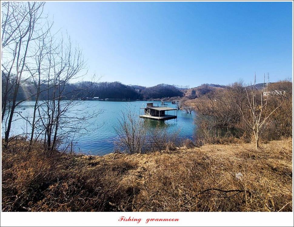 돌감 38 cm 및 화곡지외 주변 조황 (조황조행기 - 특파원조황)