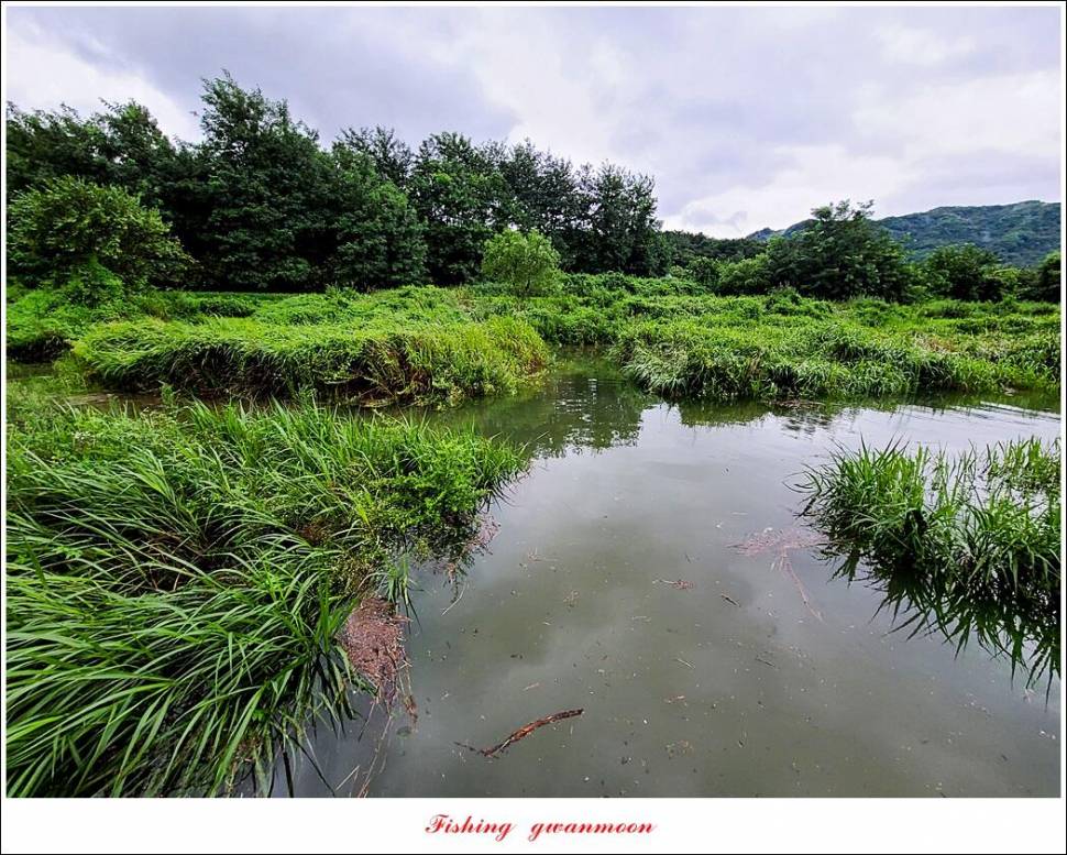 충주호 만수위 및 신리 4 짜 대물 조황 (조황조행기 - 특파원조황)