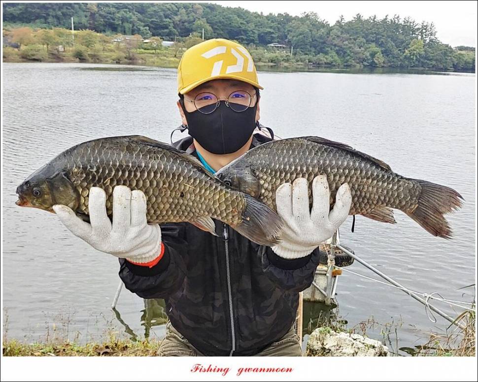 솔 43 cm종점 39 cm38 cm칠성지 4 짜 대물 조황 (조황조행기 - 특파원조황)