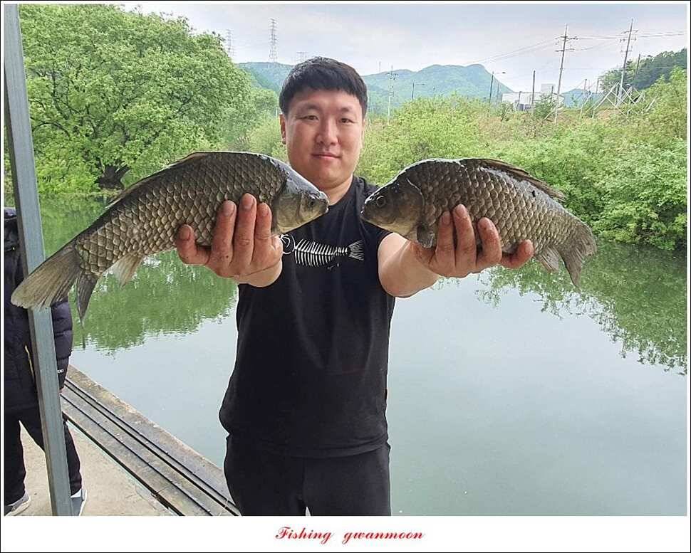 노지 4 짜신리 4 짜화곡지 4 짜 대물 조황 (조황조행기 - 특파원조황)