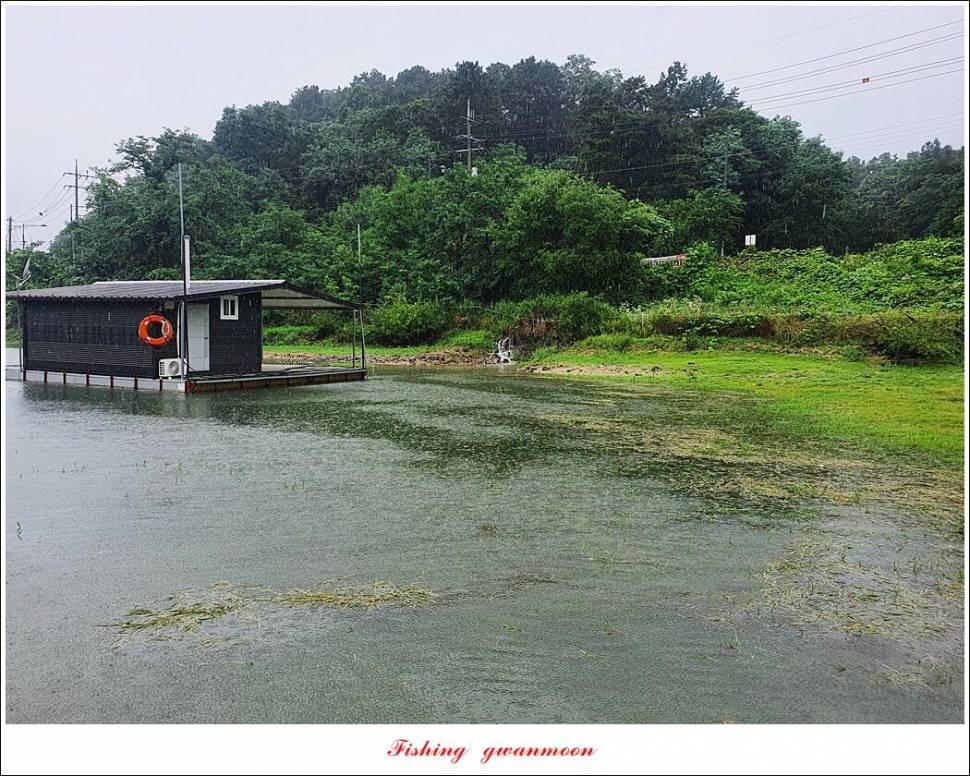 솔 4 짜 3 수화곡지 4 짜 마릿수 조황 (조황조행기 - 특파원조황)