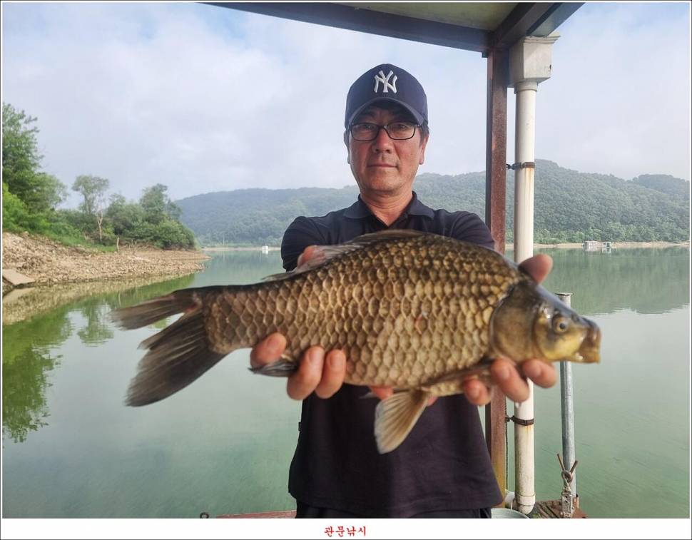 용원지화곡지봉 낚시터 (조황조행기 - 특파원조황)