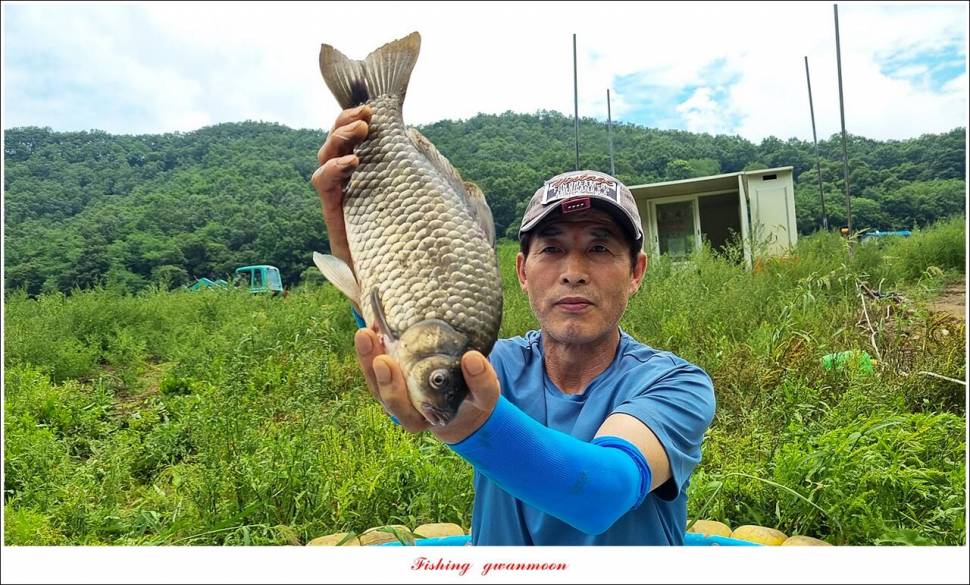 명서 노지 4 짜 마릿수돌감 4 짜사오리 4 짜솔 4 짜 대물 조황 (조황조행기 - 특파원조황)
