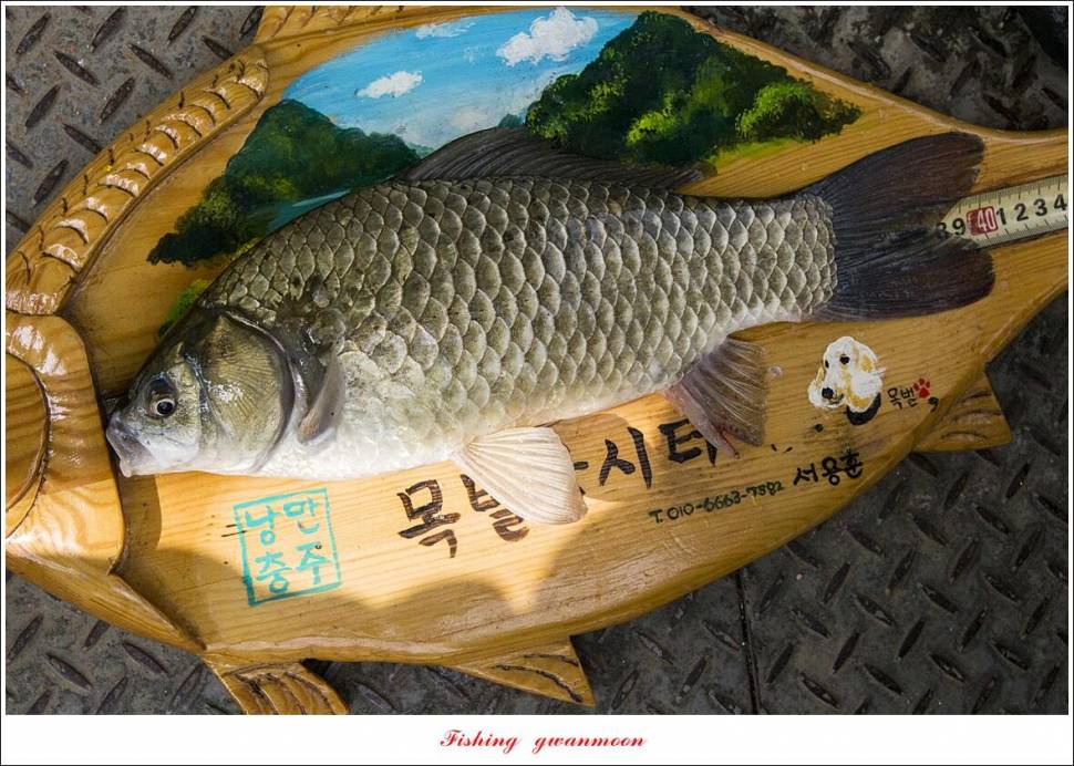 한버들 4 짜목벌 4 짜화곡지 4 짜달천강 4 짜 (조황조행기 - 특파원조황)